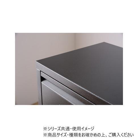 東谷 ラルド ダストボックス ブラック TPN-36BK