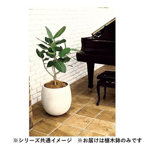グリーンポット 植木鉢 テラニアス バルーン アンティークホワイト