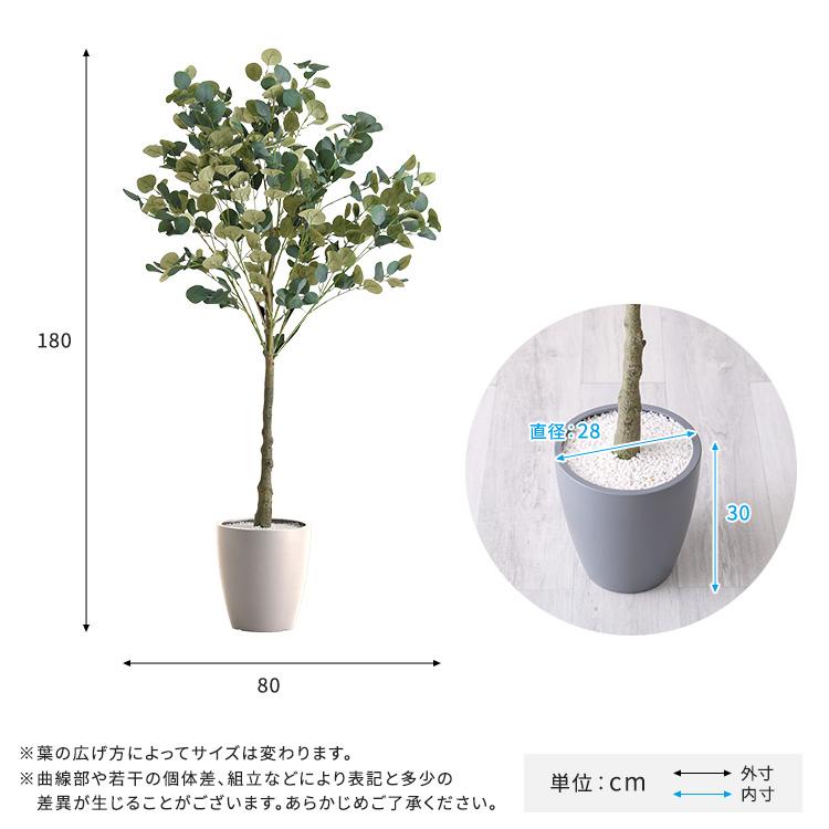 お手入れ簡単フェイクグリーン ユーカリ Lサイズ(180cm)の画像