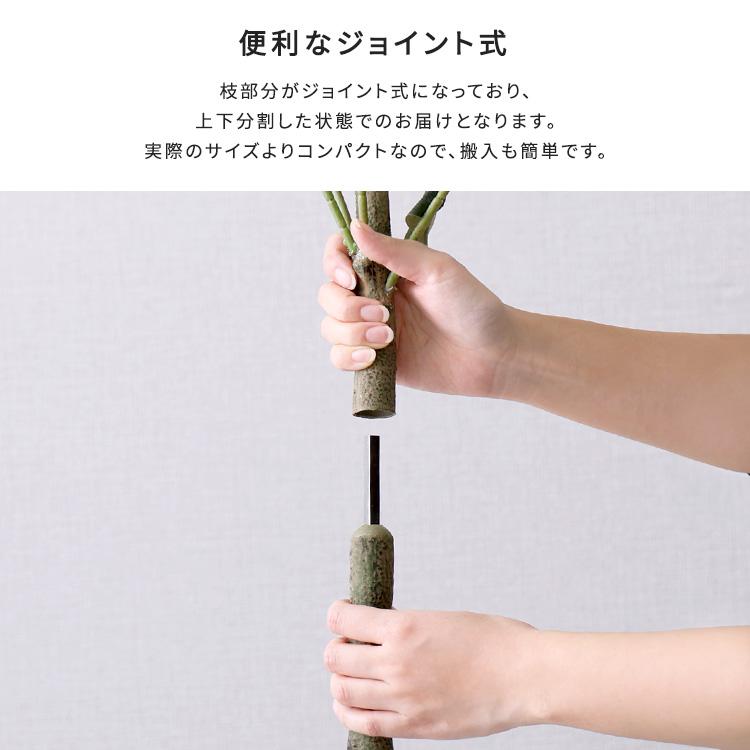 お手入れ簡単フェイクグリーン ユーカリ Lサイズ(180cm)の画像