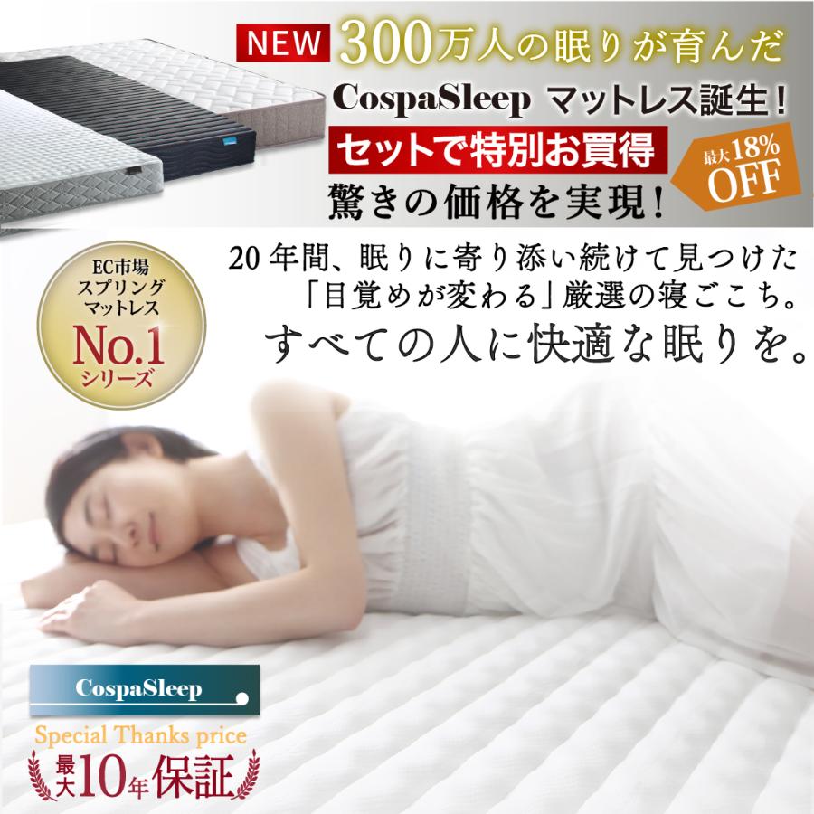 お客様組立 ベッド 棚コンセント 収納付き Ever X エヴァー お客様組立 ベッド 棚コンセント 収納付き Ever X エヴァー