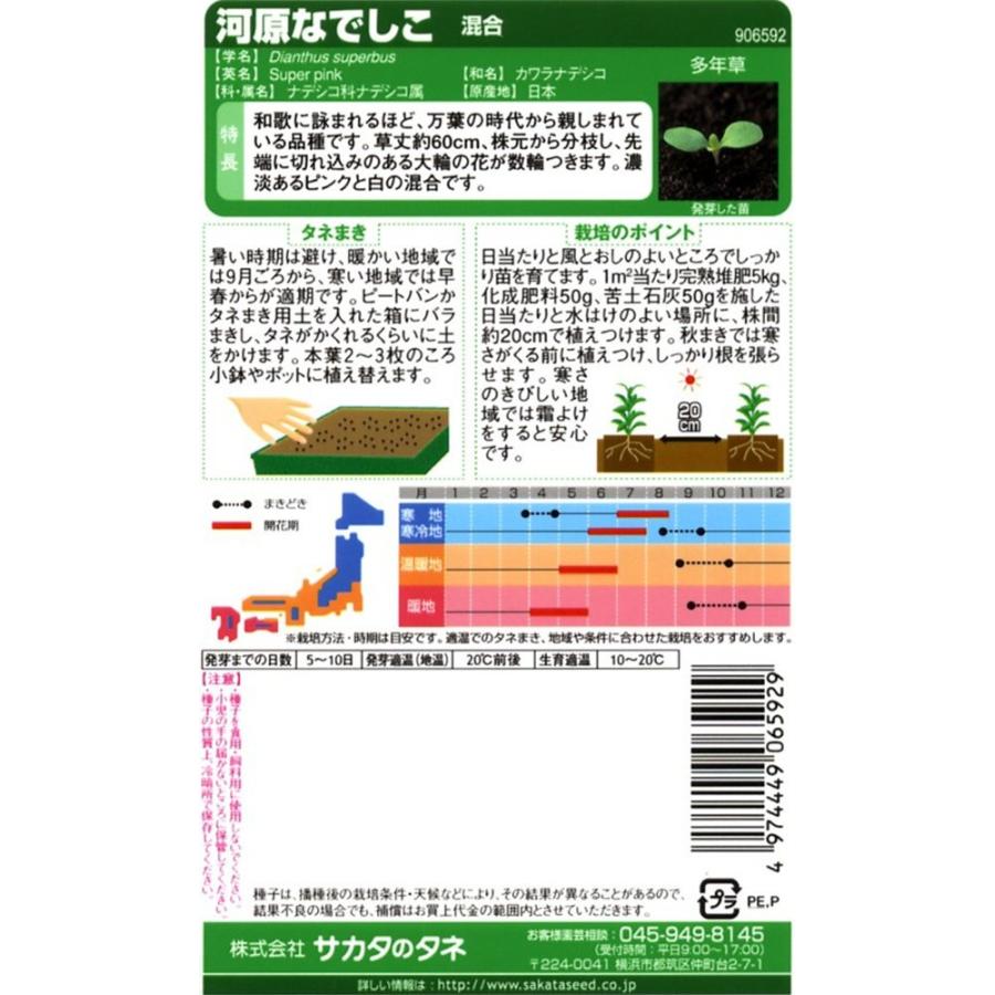 なでしこ 四季咲き ナデシコ テルスター 苗 9センチポット 3号 なでしこ