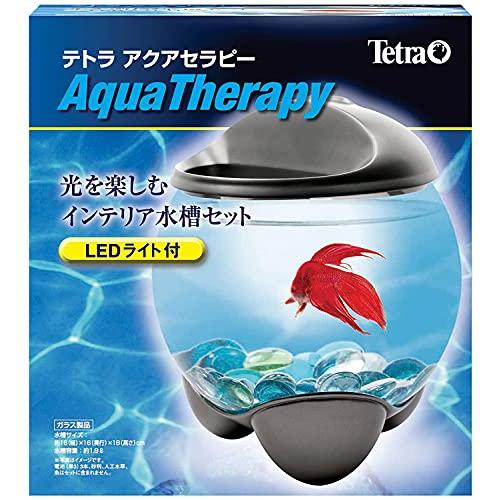 テトラ (Tetra) アクアセラピー 水槽 アクアリウム : Shining Today