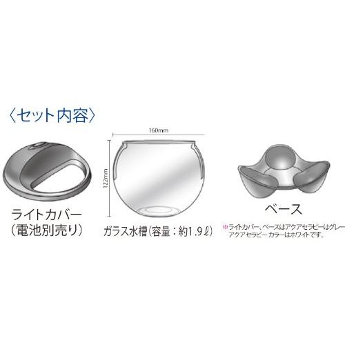 テトラ (Tetra) アクアセラピー 水槽 アクアリウム : Shining Today