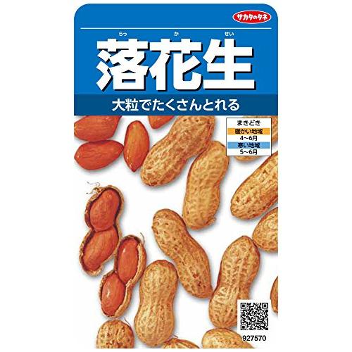 サカタのタネ 実咲野菜7570 落花生 00927570 : Shining Today - 通販
