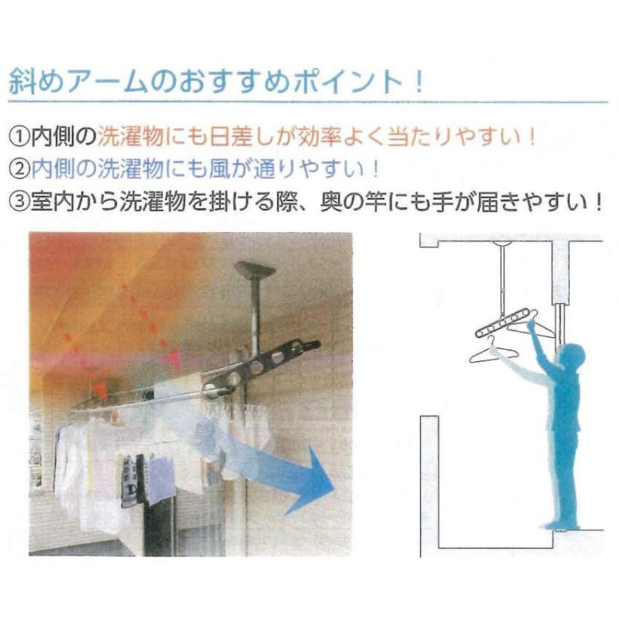 川口技研(Kawaguchigiken) 軒天用物干し ホスクリーン ZAN-0750-DB ダークブロンズ 2本1組の画像