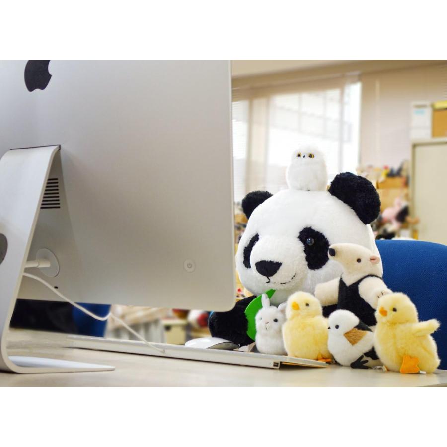 はな アリクイ 可愛らしいアリクイのぬいぐるみです。 18cm 180520