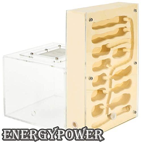 EnergyPower アリ飼育キット 石膏製巣箱 大型 アリ活動スペース付き 土