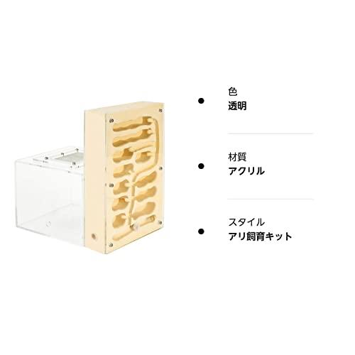 EnergyPower アリ飼育キット 石膏製巣箱 大型 アリ活動スペース付き 土