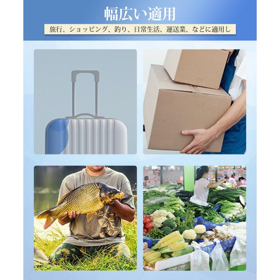 GOODCHI デジタル吊り下げ秤 電子はかり 釣り 荷物 旅行 吊りはかり