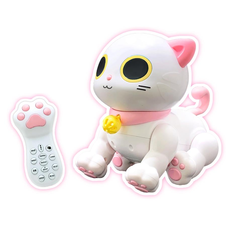 TKSK] ロボキャッティ フレンドリーシロ キュートな動きを記憶させる