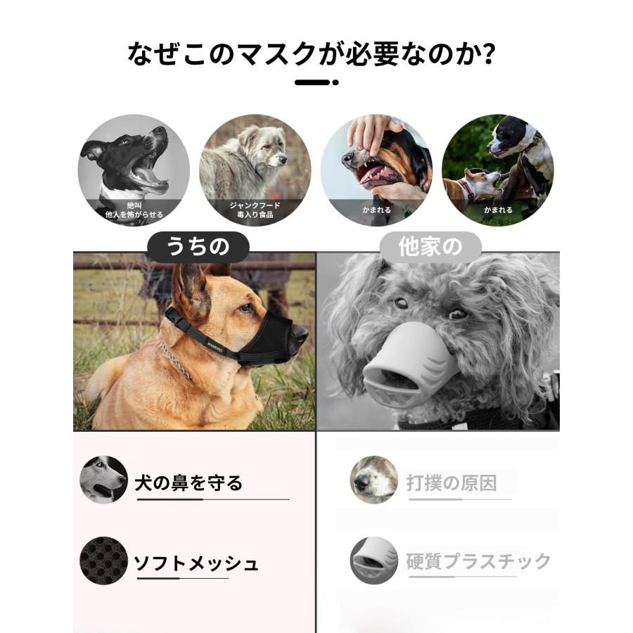 渋い顔の犬➰金属製 めちゃ重 秋田犬 むぎ🐾 on X: 