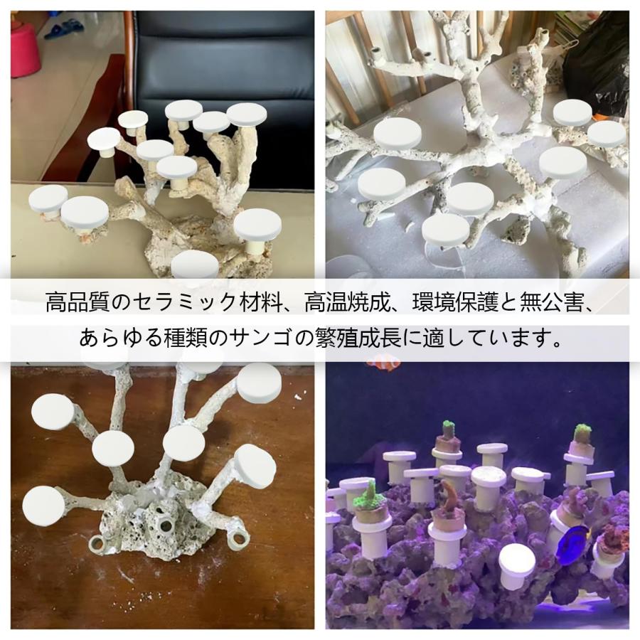 ADOFUN 水族館サンゴ プラグ【10個】サンゴベース T型 セラミック