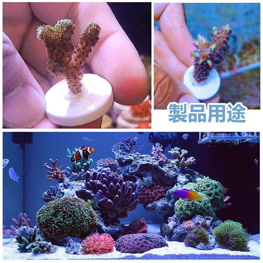 ADOFUN 水族館サンゴ プラグ【10個】サンゴベース T型 セラミック