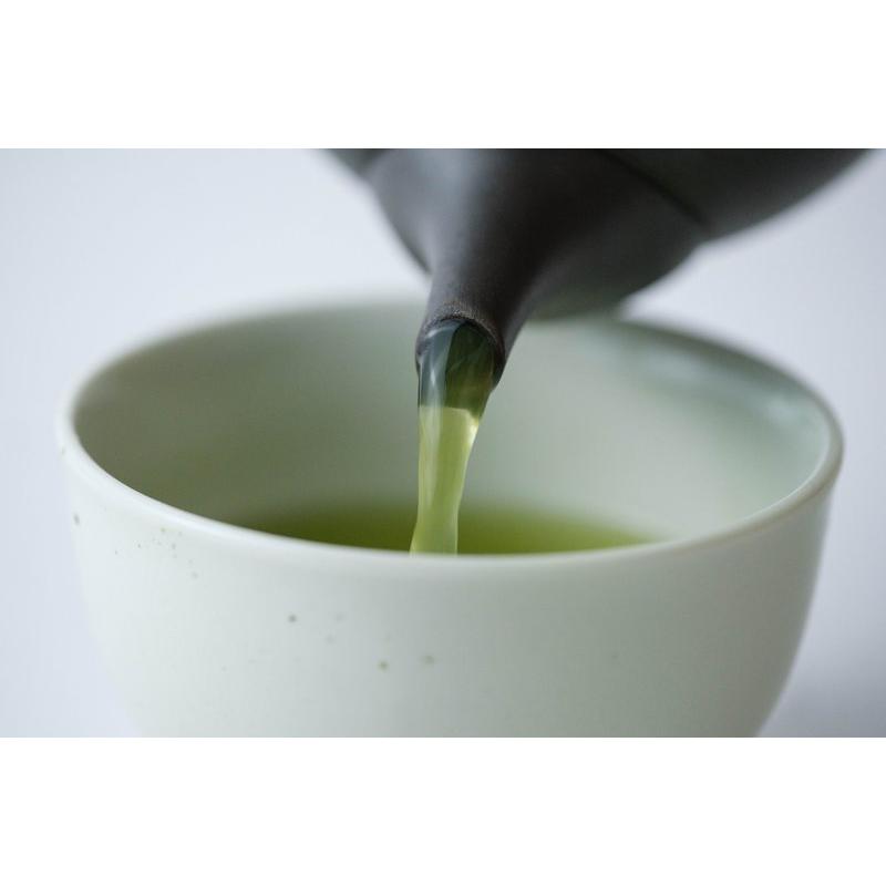 お年賀 お茶 緑茶 深蒸し煎茶 茶葉 菊寿 金箔付き50g : 老舗大佐和