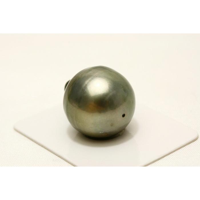 タヒチ黒蝶真珠パールルース 両穴 20×17mm グレーカラー : 0515ryo08 