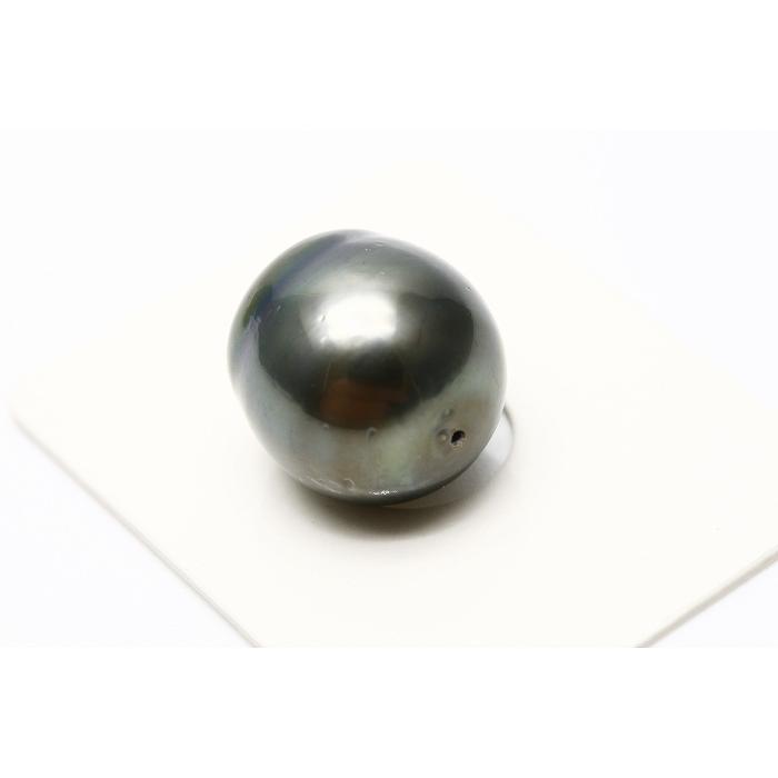 タヒチ黒蝶真珠パールルース 両穴 14×13mm ブラックカラー : 真珠 