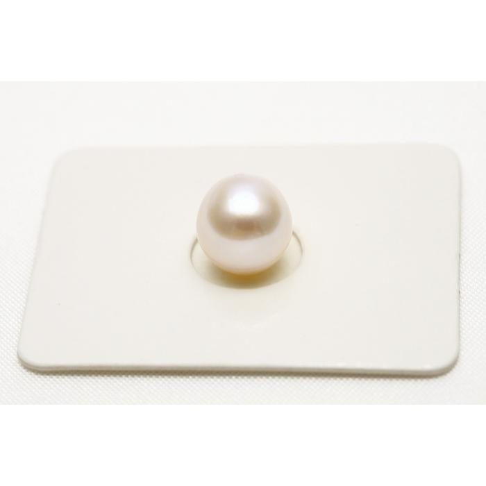 市場 マベ真珠パールルース 18mm ホワイトグリーンカラー：真珠倶楽部