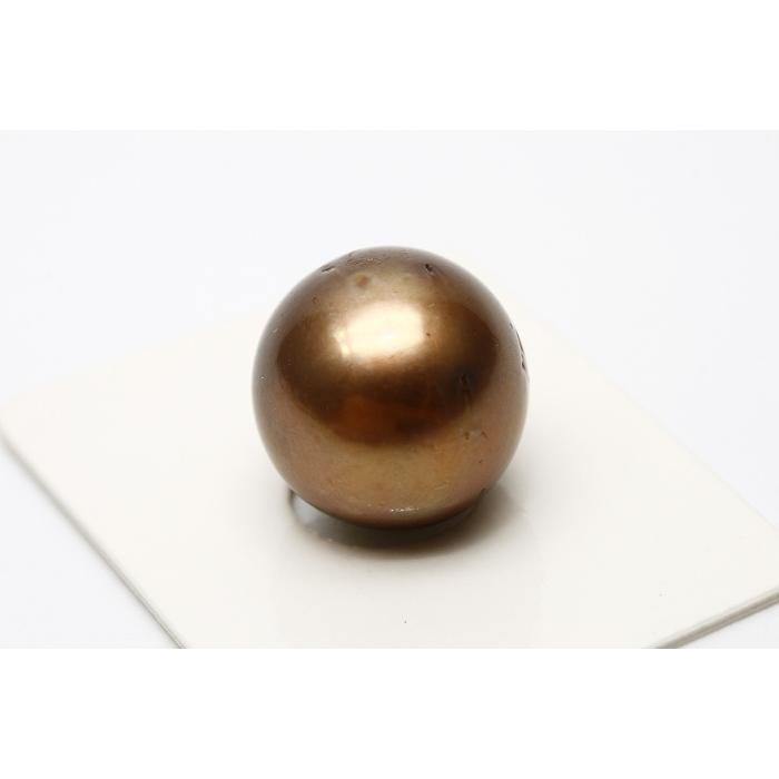タヒチ黒蝶真珠パールルース 14mm チョコレートカラー | supporthealth