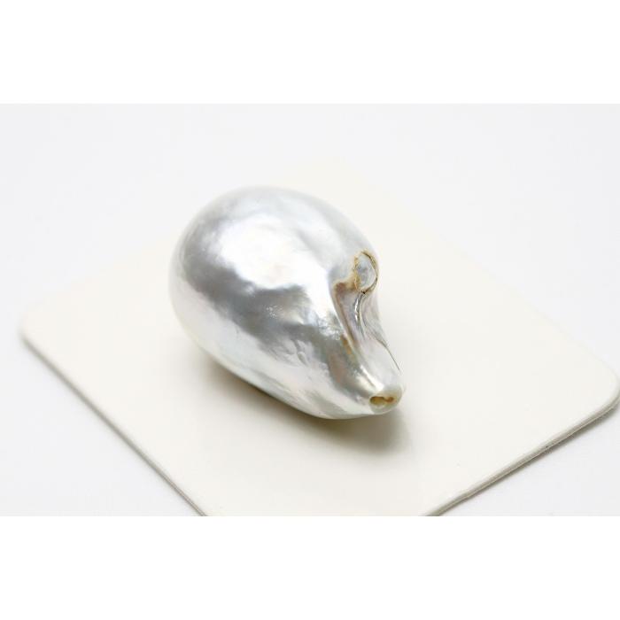 南洋白蝶真珠パールルース 両穴 22×14mm ホワイトカラー : 真珠倶楽部