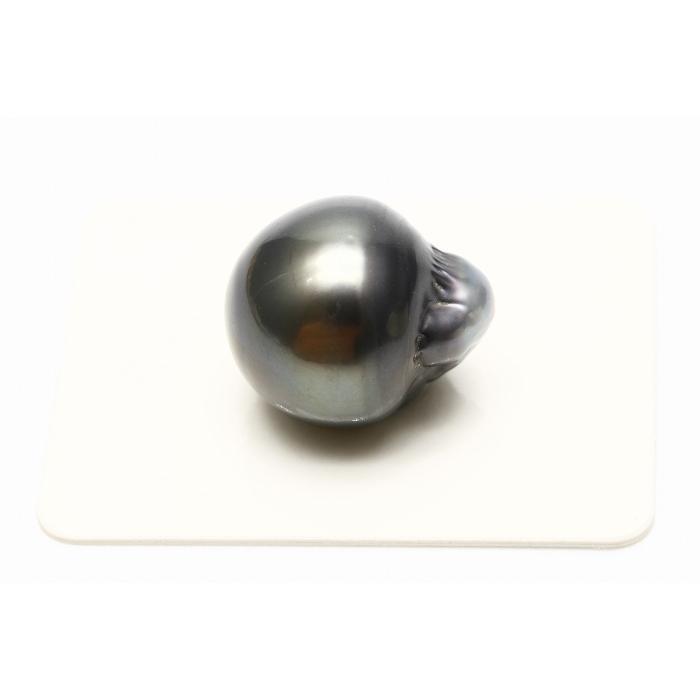 タヒチ黒蝶真珠パールルース 両穴 17×15mm ブラックカラー : 真珠 