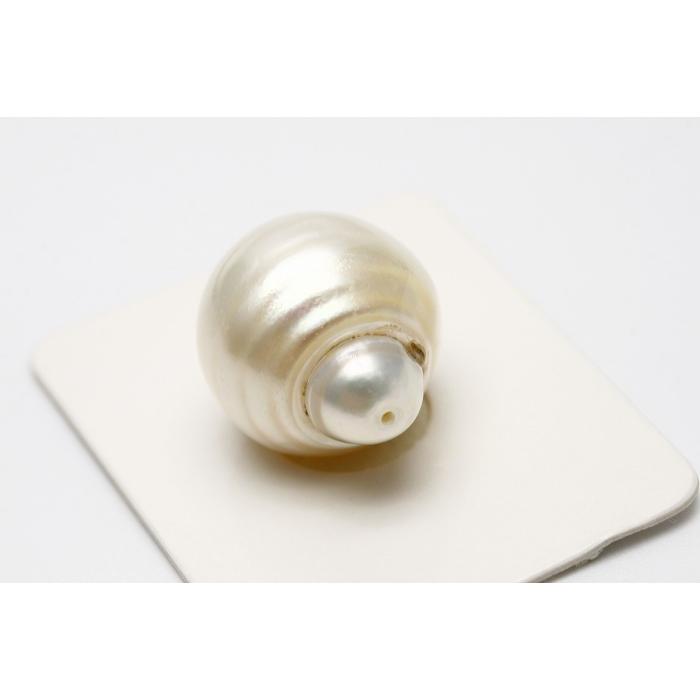 南洋白蝶真珠パールルース 両穴 17×15mm ホワイトカラー : d0121ryo02 