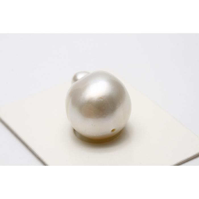 南洋白蝶真珠パールルース 両穴 16×14mm ホワイトカラー : d0124ryo05 
