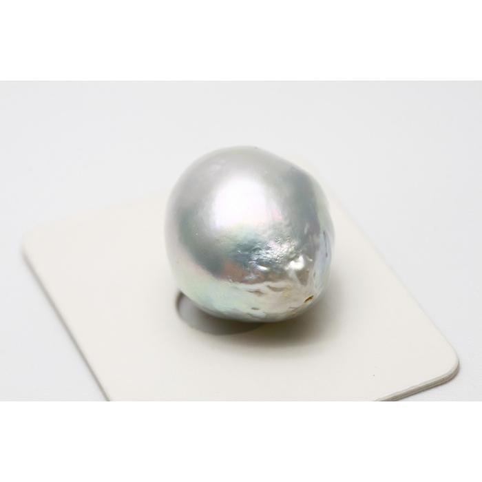南洋白蝶真珠パールルース両穴18×15mmシルバーホワイトカラー