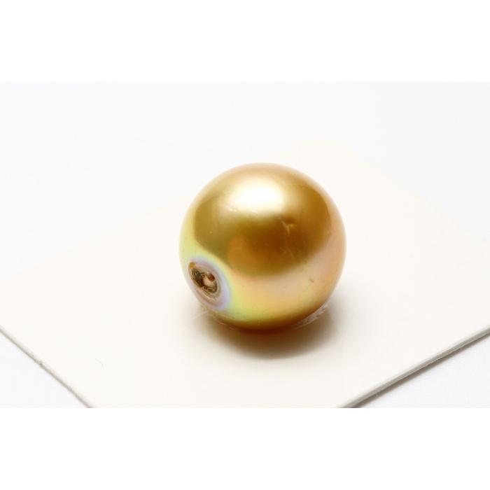 南洋白蝶真珠パールルース 両穴 13mm ナチュラルゴールドカラー : 真珠  