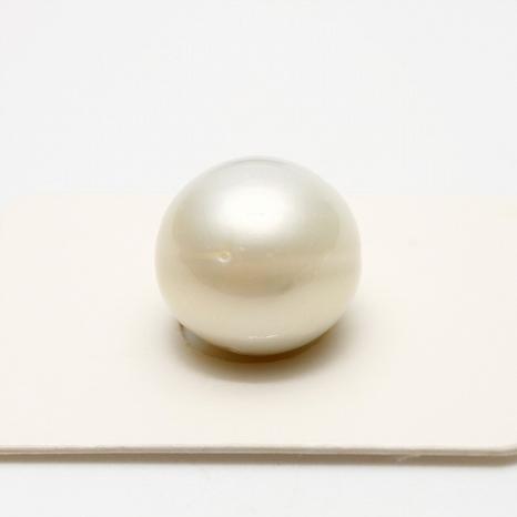 南洋白蝶真珠パールルース　14×12mm　ホワイトカラー 南洋白蝶真珠パールルース 14×12mm ホワイトカラー : 真珠倶楽部