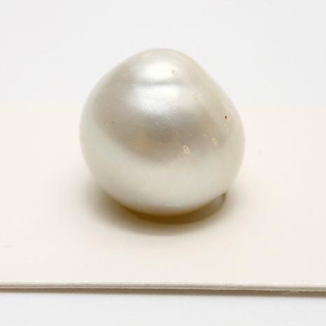 南洋白蝶真珠パールルース 16×15mm ホワイトカラー : 真珠倶楽部 