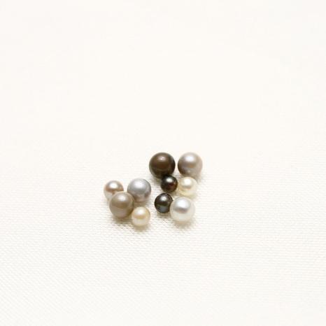 南洋白蝶/タヒチ黒蝶真珠パールルース ケシ 10ピース 1-2mm マルチ 