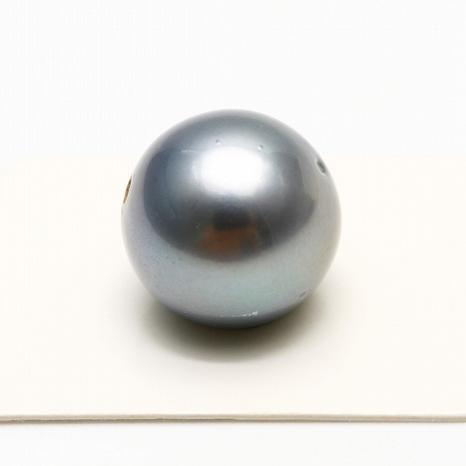 タヒチ黒蝶真珠パールルース 両穴 16mm ブルーグレーカラー : 真珠 