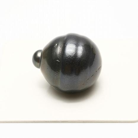 タヒチ黒蝶真珠パールルース 両穴 17×15mm ブラックカラー : 真珠 