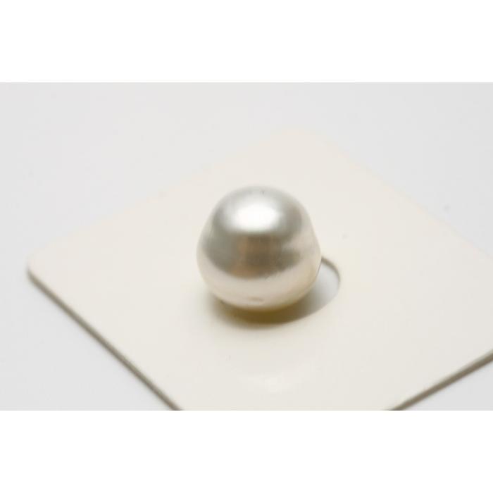 南洋白蝶真珠パールタイバー　10mm　ホワイトカラー 楽天市場】南洋白蝶真珠パールタイバー 10mm ホワイトカラー