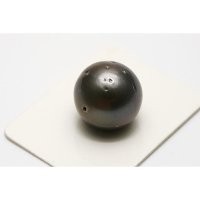 65%OFF【送料無料】 15mm 両穴 タヒチ黒蝶真珠パールルース ブラックカラー 真珠 : 真珠