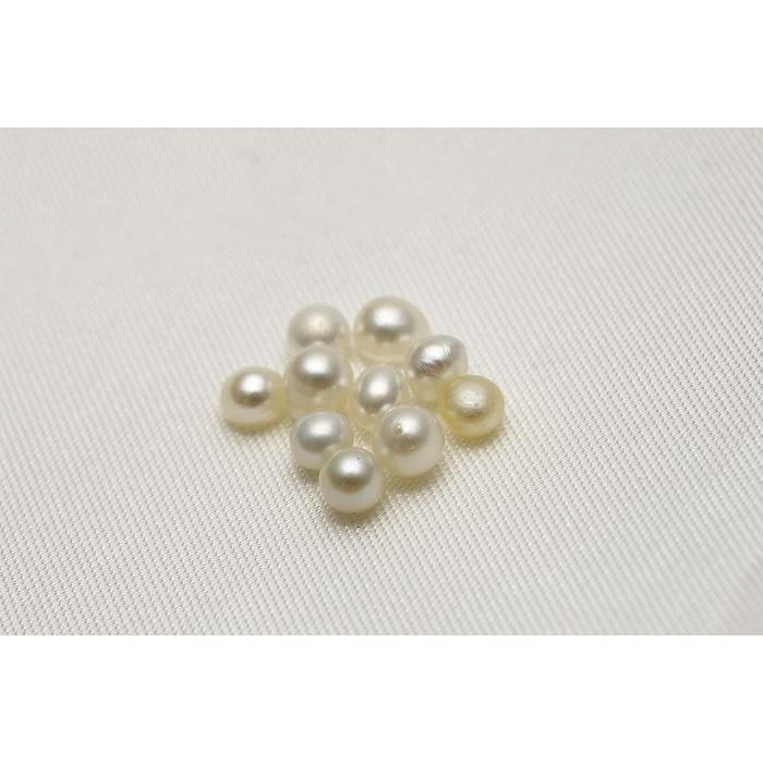 白蝶真珠ケシパールルース