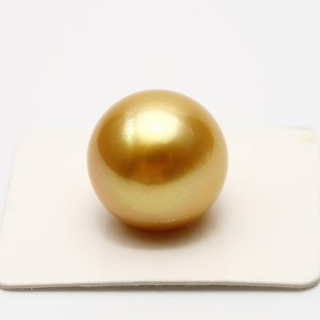 g0105nl01