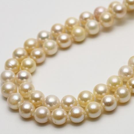 アコヤ真珠パールロングネックレス 7.5-8.0mm マルチカラー