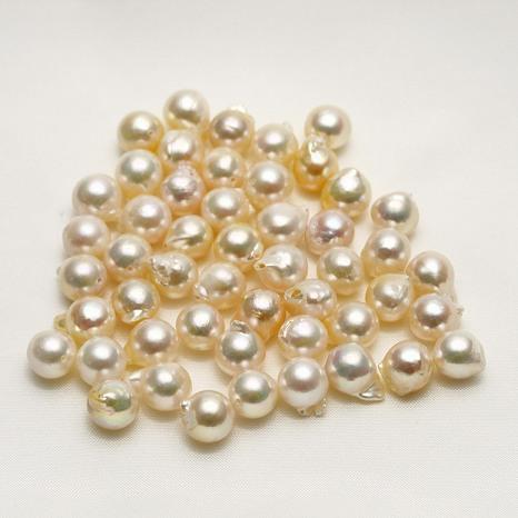 アコヤ真珠パールルース 両穴 50ピース 8.0-8.5mm マルチカラー : 真珠 