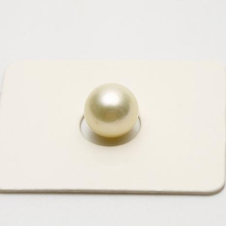h0204al01