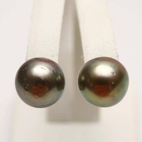 タヒチ黒蝶真珠パールピアス　10mm　グリーンカラー　シルバー製　入学式　卒業式　セレモニー