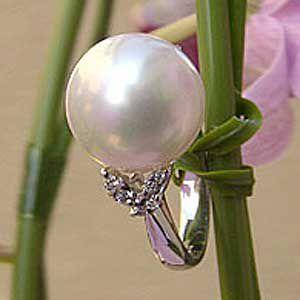 パール 指輪 真珠 リング 南洋白蝶真珠 ホワイト系 13mmt プラチナ