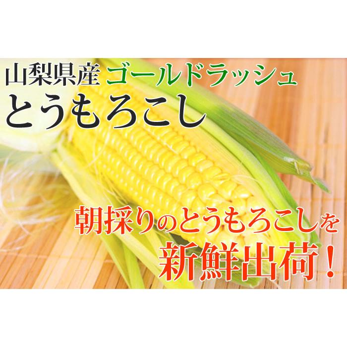２１５０円・送料込み・朝採れ・５キロ・トウモロコシ・「ゴールドラッシュ」ハネ出し 2150円・送料込み・朝採れ・5キロ・トウモロコシ