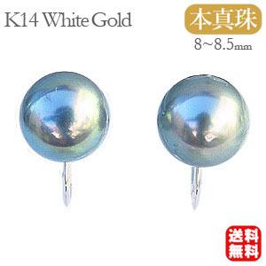 e-g80-85w