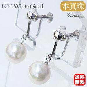 e201007cke-8a