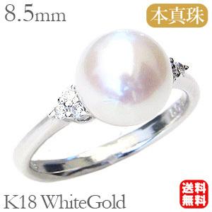 パールリング 普段使い 8.5mm ホワイトゴールド k18 本真珠 あこや 