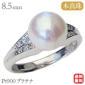 パールリング 普段使い パール リング プラチナ pt900 真珠 指輪 本