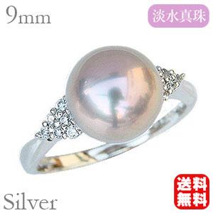r13939p9h
