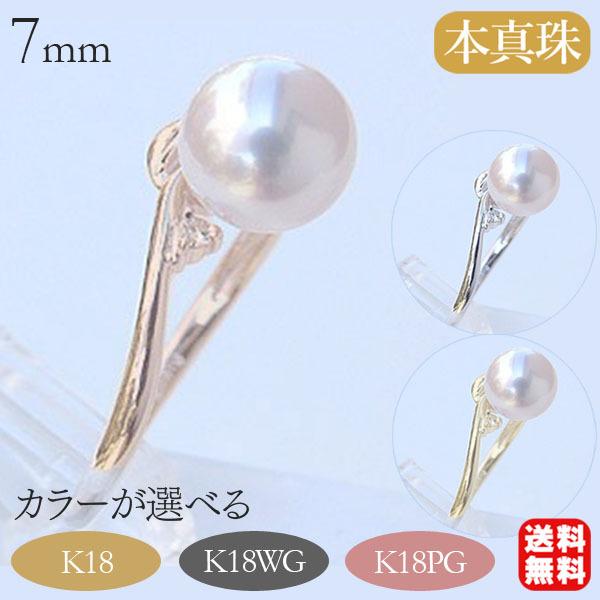 r16305-pg